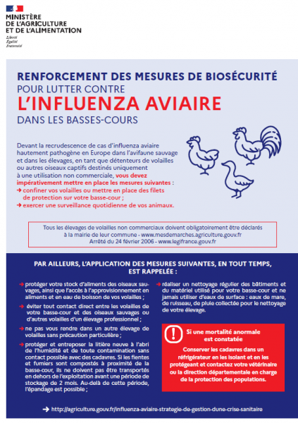 affiche influenza aviaire