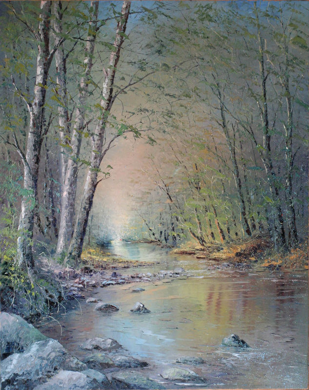 Lumière matinale sur le ruisseau